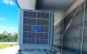 Imagem PNG, Ícone 04